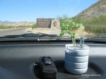 Big Bend National Park