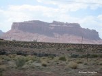 IMG 3174