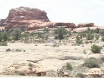 IMG 1501