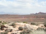IMG 1565