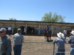 Laurel Brown Race Track