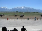 Laurel Brown Race Track