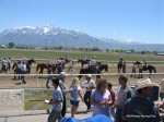 Laurel Brown Race Track