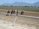 Laurel Brown Race Track