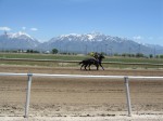 Laurel Brown Race Track