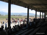 Laurel Brown Race Track