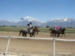 Laurel Brown Race Track