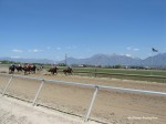 Laurel Brown Race Track