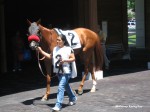 Arlington Park