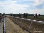 Pinnacle Racecourse racetrack