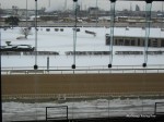 IMG 4741