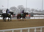 IMG 4744