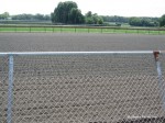 Arlington Park polytrack in 2010