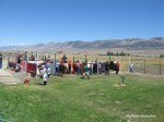 IMG 0075