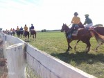 Kentucky Downs 2013