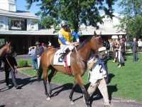 Arlington Park, Arlington Million 2006