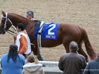 Oaklawn Park / Arkansas Derby 2007