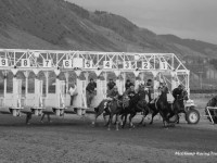 Sagebrush Downs / Kamloops 2008