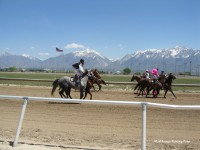 Laurel Brown Race Track