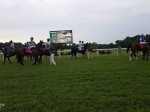 Kentucky Downs 2018