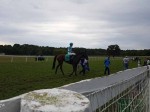 Kentucky Downs 2018