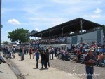 Bucking Horse Sale crowd