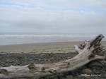 IMG 0224