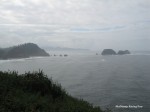 IMG 0227