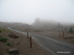 IMG 0239