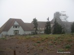 IMG 0241