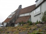 IMG 0246