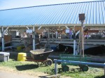 IMG 0252