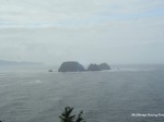 IMG 2940