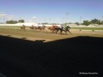 Yellowstone Downs