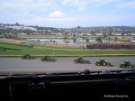 DSCN0358