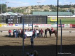 Yellowstone Downs