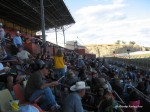 Yellowstone Downs