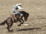 omak2011rodeo1 1