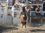 omak2011rodeo6 1