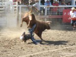 omak2011rodeo7 1