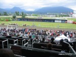 Hastings Park Racecourse racetrack