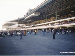 Hollywood Park racetrack