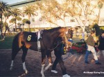 Hollywood Park racetrack