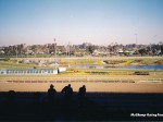 Hollywood Park racetrack