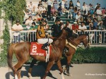 Alex the Great - Arlington Million 1994  at Arlington Park