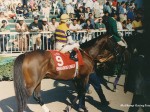 Paradise Creek - Arlington Million 1994 at Arlington Park