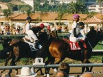 pac classic 95 4