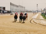 Sportsmans Park, Cicero, IL