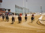 Sportsmans Park, Cicero, IL