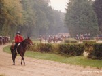 chantilly 98 4